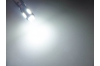 Ampoule Led BAY9S H21W - 12 leds smd 2835 - Sans Erreur - Blanc 6000K