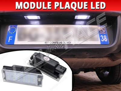 2 modules LED pour l'éclairage de la plaque Renault