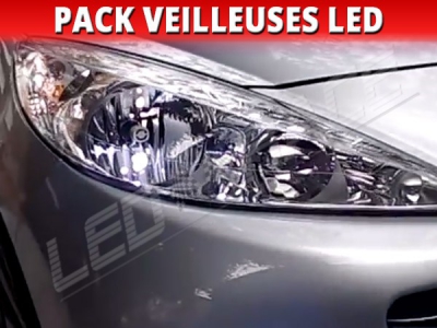 Pack veilleuses led peugeot 206 plus