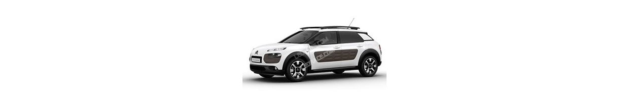 C4 Cactus