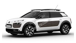 C4 Cactus