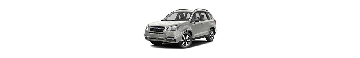 Forester 4 (2013-)
