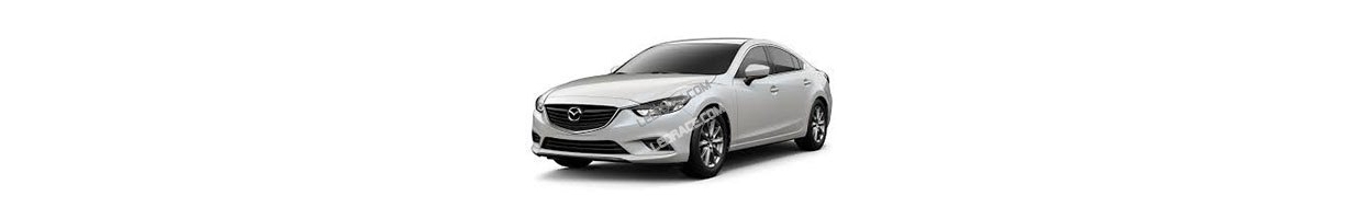 6 - 3G (2013-)
