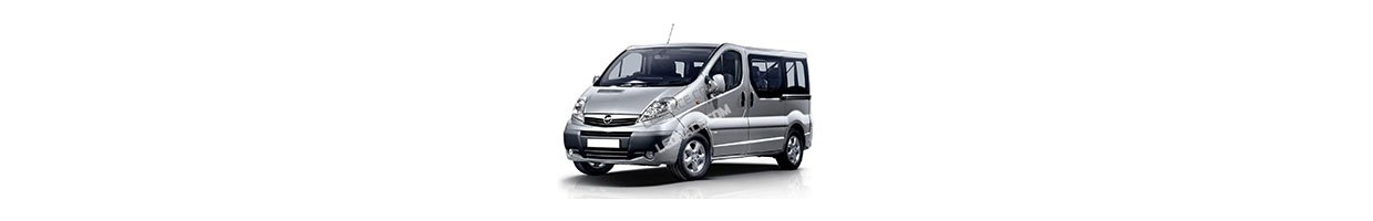 Vivaro 1