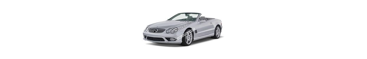 SL - R230 (2001-13)
