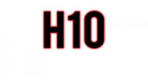 H10