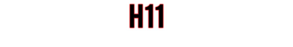 H11
