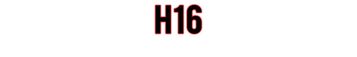 H16