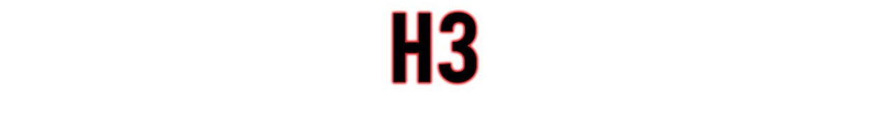 H3