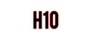 H10