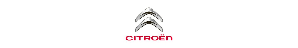 Module Led Citroen