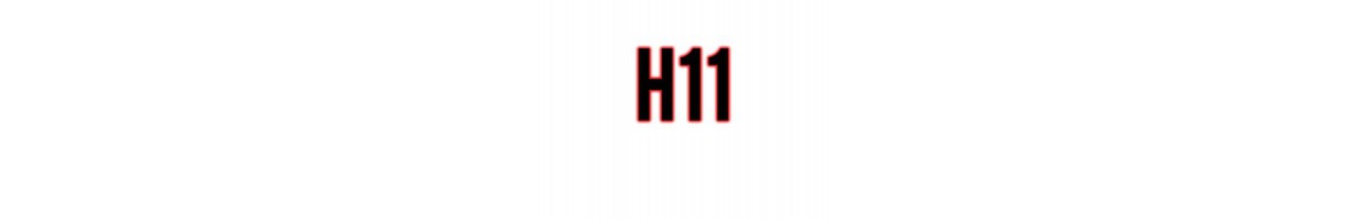 H11