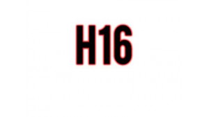 H16