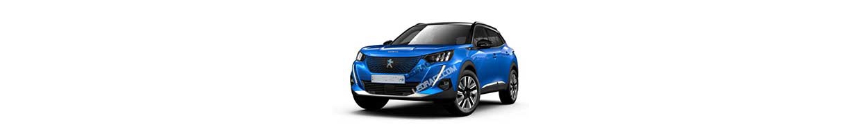 2008 II (2020-)