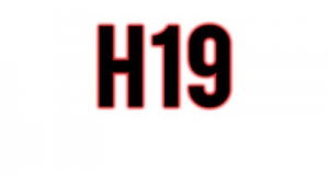 H19